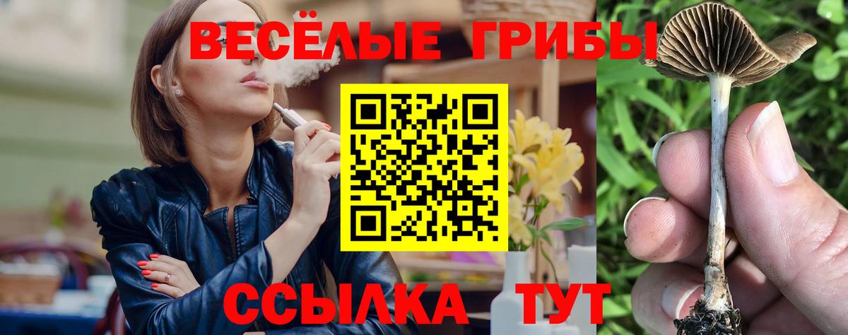 Елизово  Галлюциногенные грибы Magic Shrooms  Галлюциногенные грибы ЛСД  Вход с VPN 